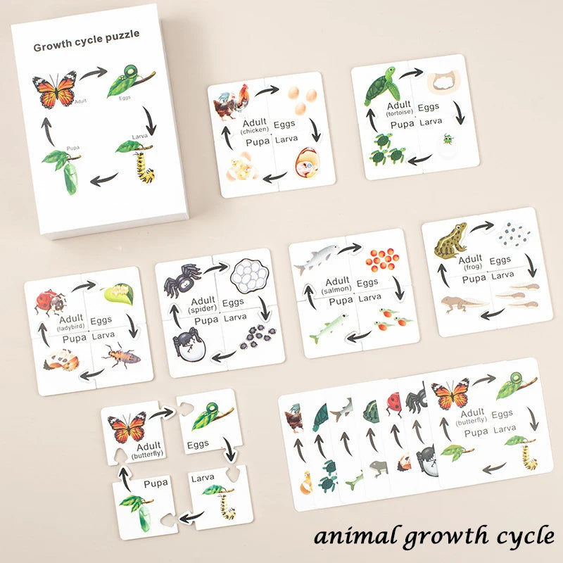 Children Simulation Biology Model Toy Animal