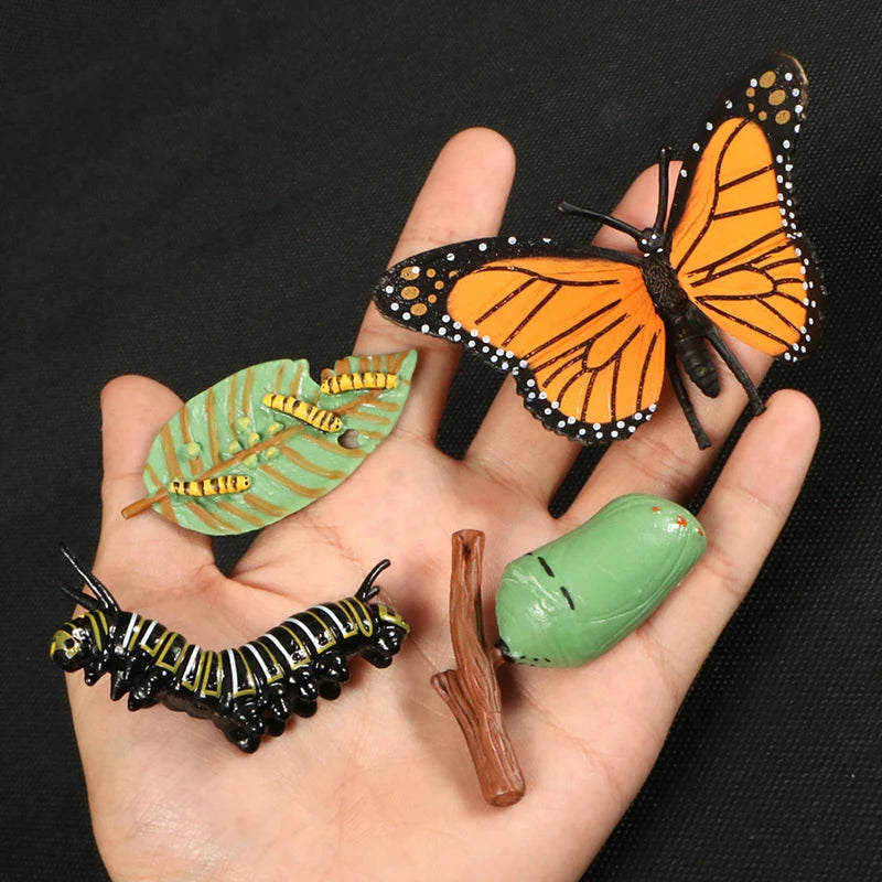 Children Simulation Biology Model Toy Animal