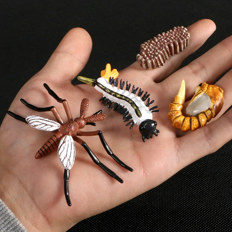 Children Simulation Biology Model Toy Animal