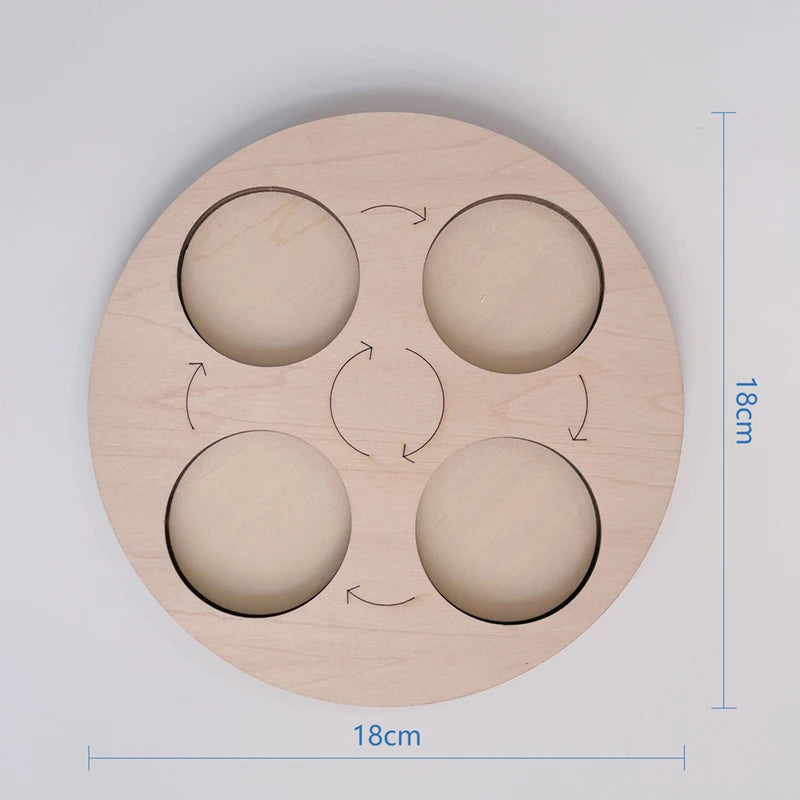 Children Simulation Biology Model Toy Animal