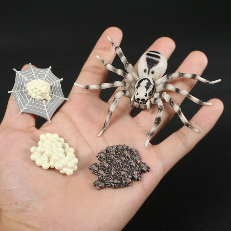 Children Simulation Biology Model Toy Animal