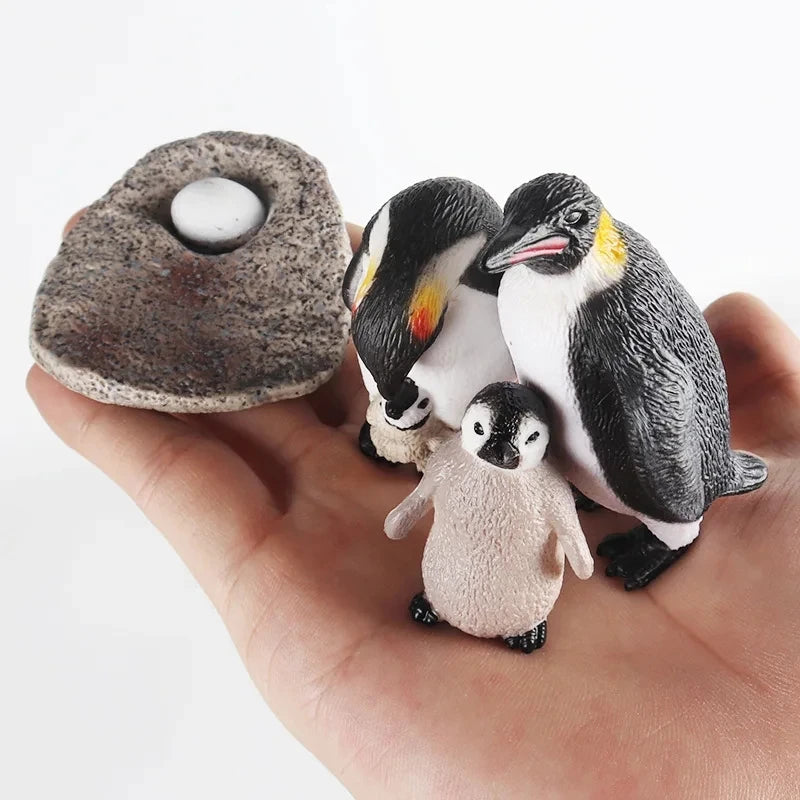 Children Simulation Biology Model Toy Animal