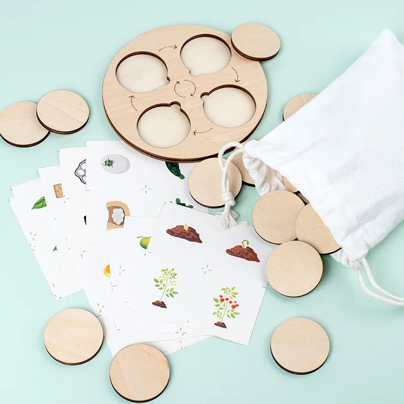 Children Simulation Biology Model Toy Animal