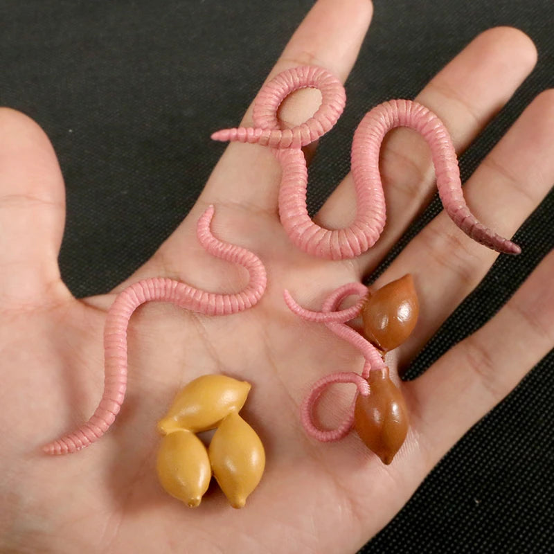 Children Simulation Biology Model Toy Animal