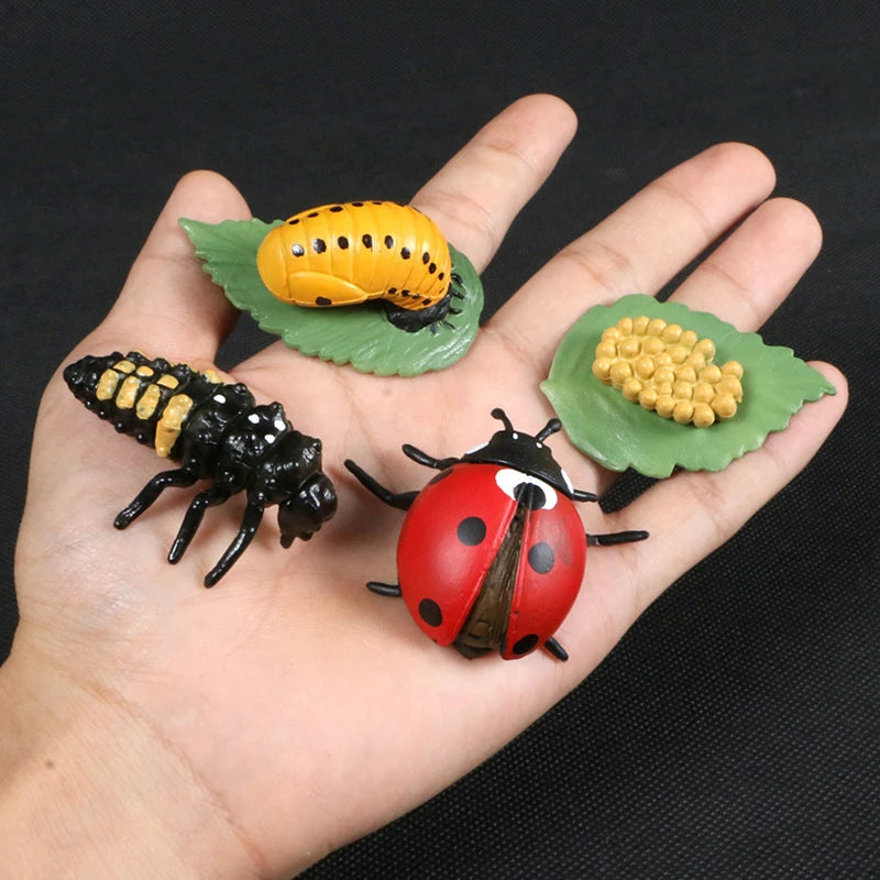 Children Simulation Biology Model Toy Animal