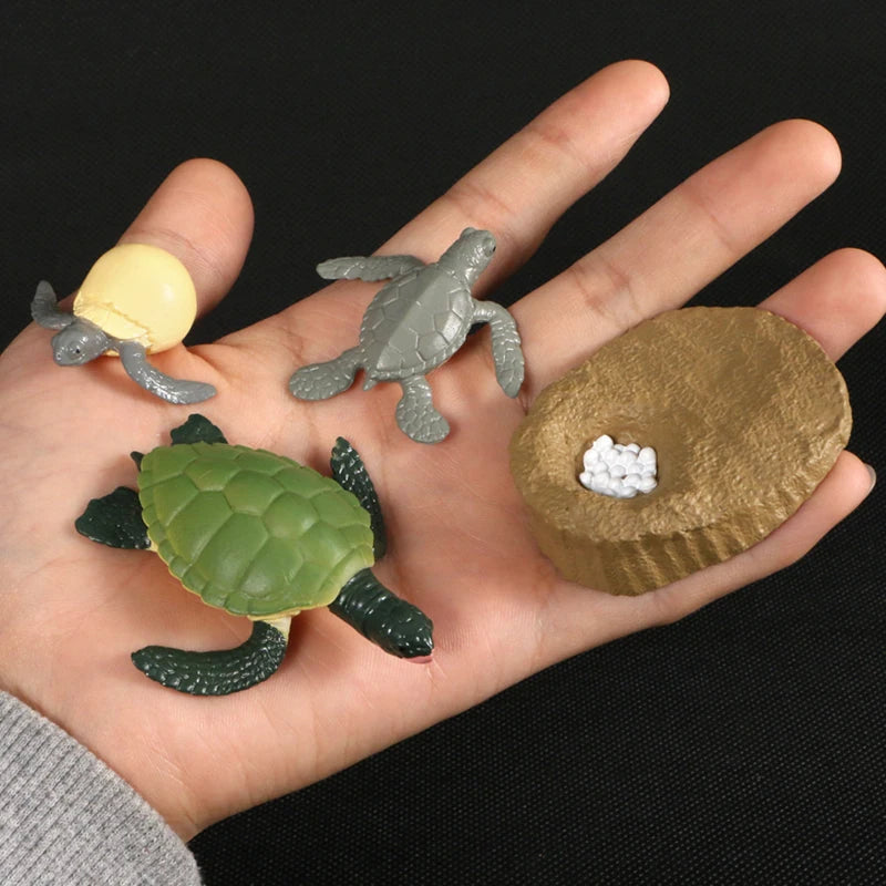Children Simulation Biology Model Toy Animal