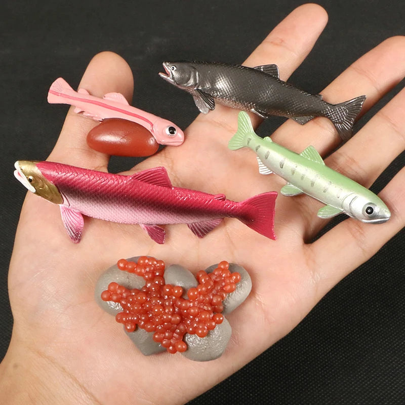 Children Simulation Biology Model Toy Animal