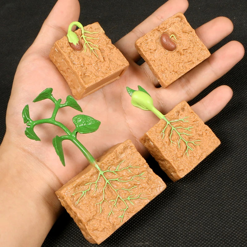Children Simulation Biology Model Toy Animal