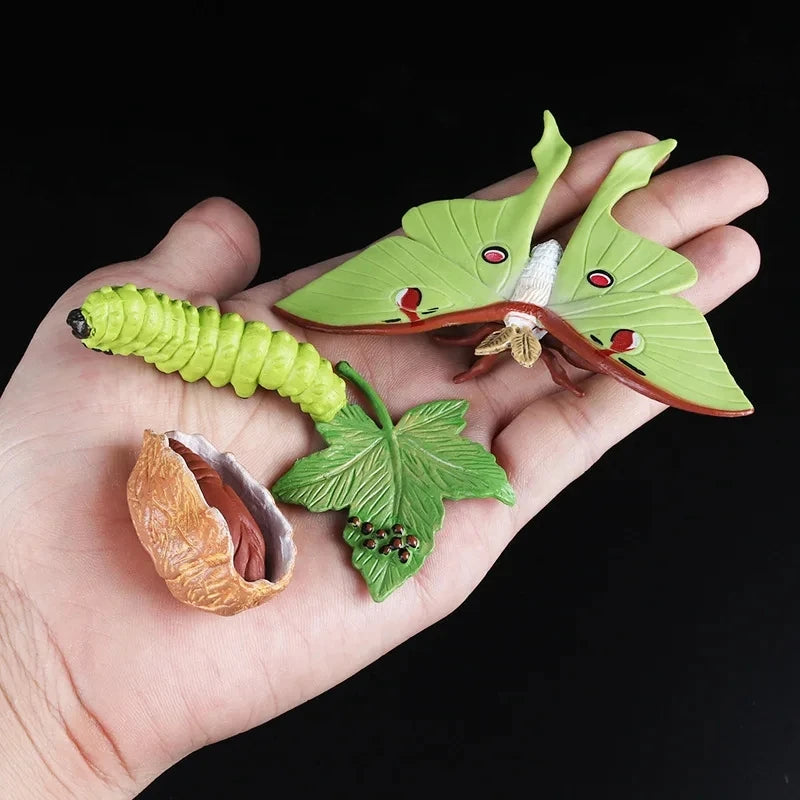 Children Simulation Biology Model Toy Animal