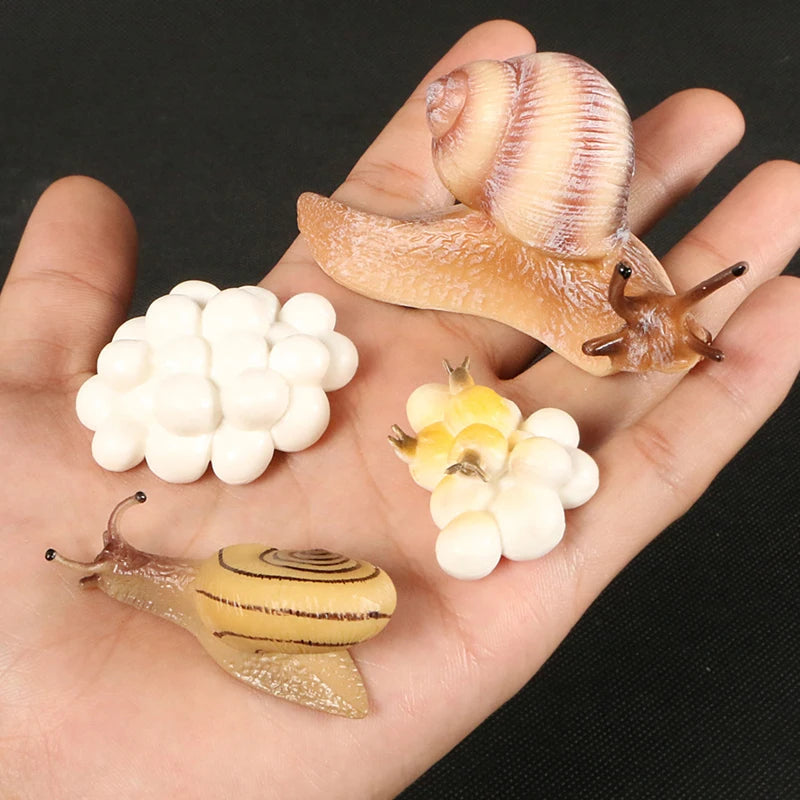 Children Simulation Biology Model Toy Animal